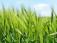 流沙新坛国际商品城招实力开发商合建